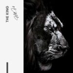 The King – Glas – Bild 5