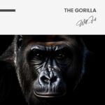 "The Gorilla" – Bild 7