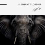 Elephant Close-Up – Glas – Bild 5