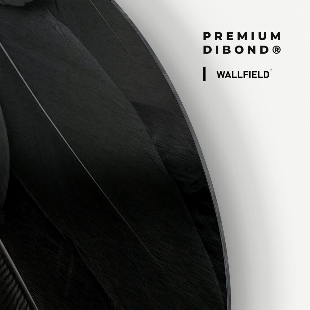 Dibond detail 1