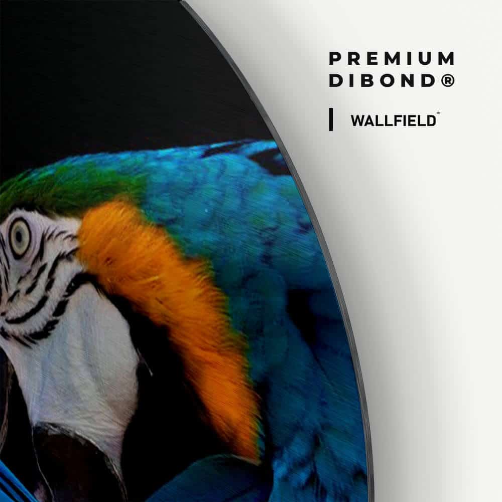 Dibond detail 1