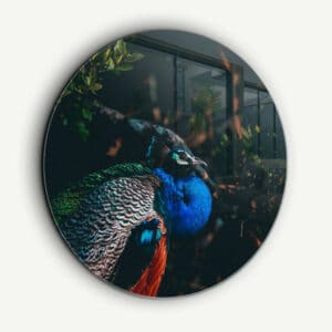 Pixelglas Front image
