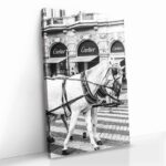 "French Horses" – Bild 2