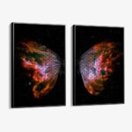 Bundle: "Universe Butterfly" (2x)