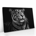 "B&W Tiger" – Bild 2