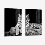 Bundle: "White Tiger" (2x) – Glas
