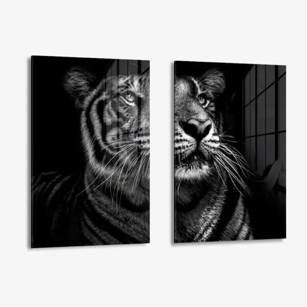 Bundle: "B&W Tiger" (2x) – Glas