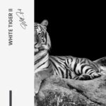 Bundle: "White Tiger" (2x) – Glas – Bild 7