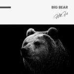 "Big Bear" – Bild 7