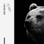 Bundle: "Big Bear" (2x) – Bild 2