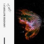Bundle: "Universe Butterfly" (2x) – Bild 2