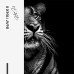 Bundle: "B&W Tiger" (2x) – Glas – Bild 7