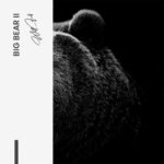 Bundle: "Big Bear" (2x) – Glas – Bild 7