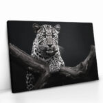 "Jaguar HZ" – Bild 2