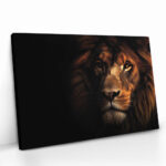 "Lion In The Dark HZ" – Bild 2