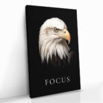 "Focus" – Bild 2