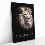 "Discipline" – Bild 2