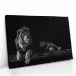 "Horizontal Lion" – Bild 2