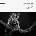 Jaguar HZ – Glas – Bild 5