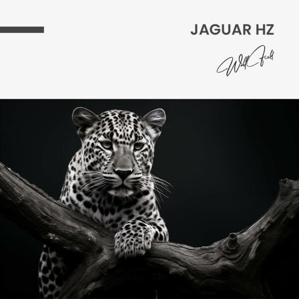 7. Design signature 7. Design signature