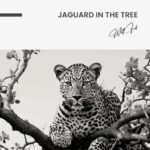 Jaguard In The Tree – Glas – Bild 5