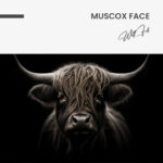 Muscox Face – Glas – Bild 5