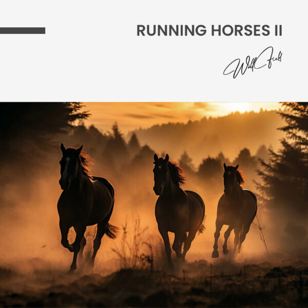 7. Design signature 7. Design signature