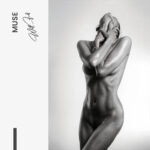 "Muse" – Bild 7