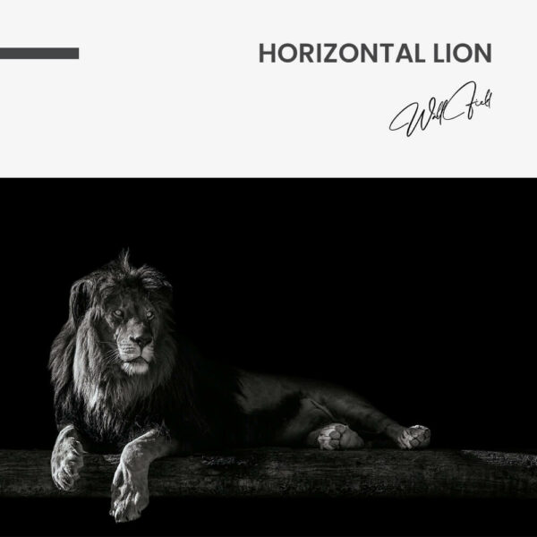 7. Design signature 7. Design signature