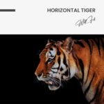 Horizontal Tiger – Glas – Bild 5
