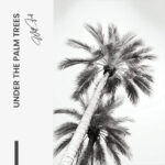"Under The Palm Trees" – Bild 7