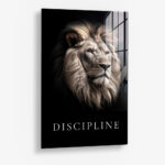 Discipline – Glas