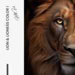 Bündel: "Lion & Lioness Color II" (2x) – Glas – Bild 4