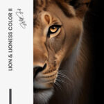 Bündel: "Lion & Lioness Color II" (2x) – Glas – Bild 5