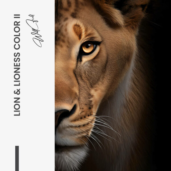 Design signature II – tiny Design signature II – tiny