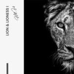 Bündel: "Lion & Lioness III" (2x) – Glas – Bild 4