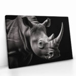 "The Rhino" – Bild 2