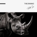 "The Rhino" – Bild 7