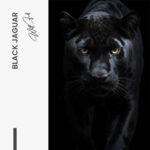 Black Jaguar – Glas – Bild 5