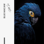 "Blue Macaw" – Bild 7