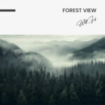 Forest View – Glas – Bild 5
