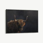 "Gazing Highlander"