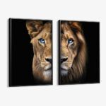 Bündel: "Blue Eyed Lions" (2x)