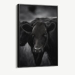 "The Cow"