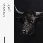 Cow Horns – Glas – Bild 5