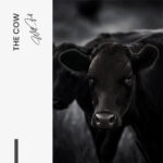 The Cow – Glas – Bild 5