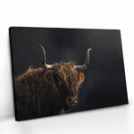 "Gazing Highlander" – Bild 2