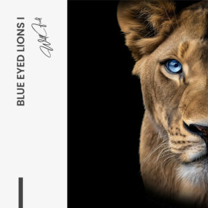 7. Design signature 1
