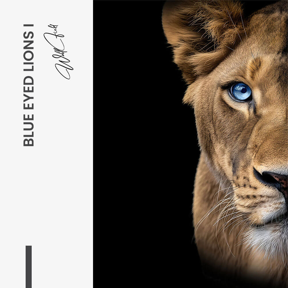 7. Design signature 1