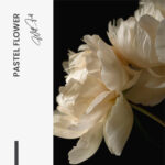 "Pastel Flower" – Bild 7